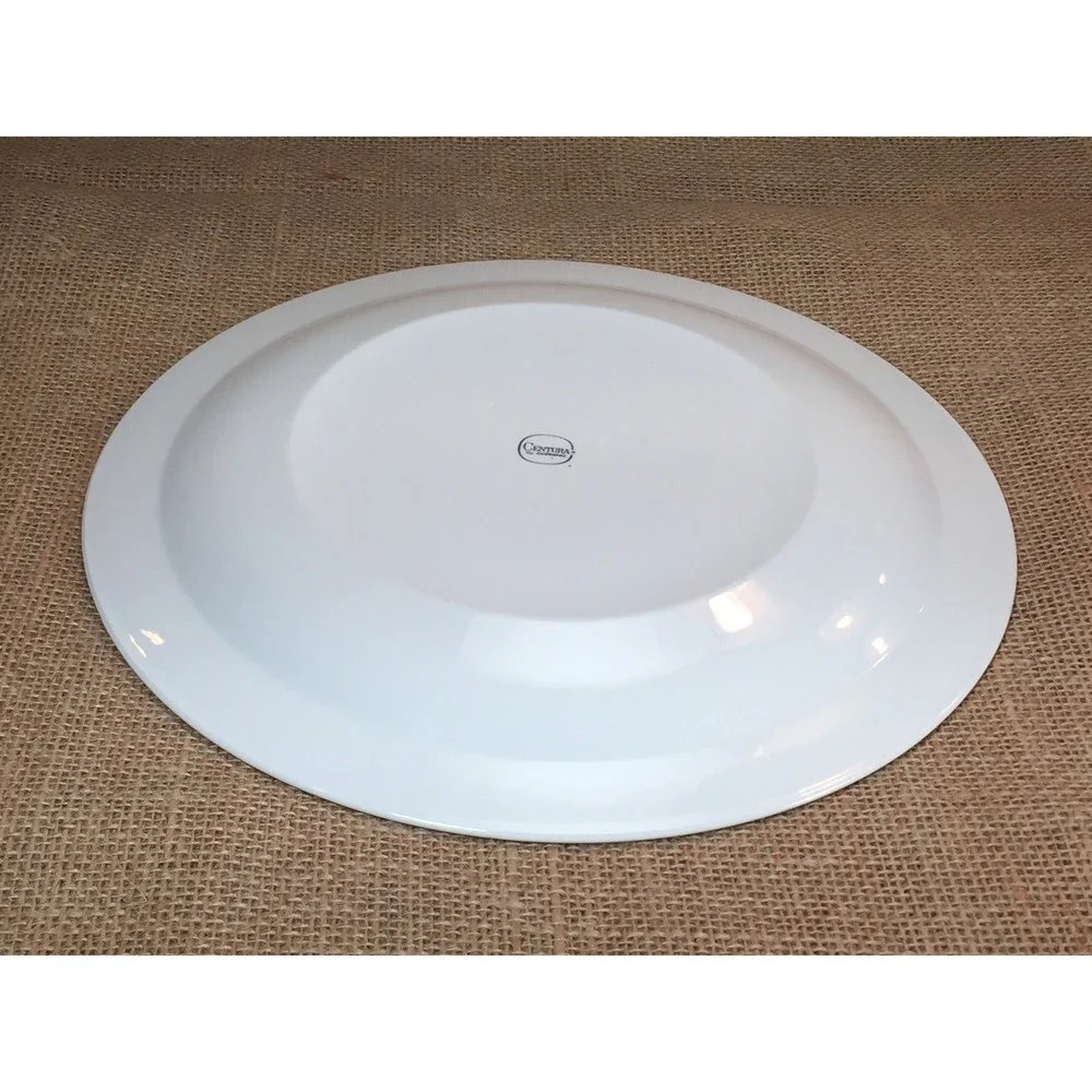 4 Centura by Corning Sculptured Rim Platinum Trim Dinner Plates White 10.5
